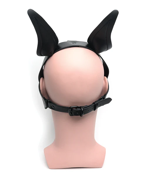 665 Playful Pup Hood - Image 3