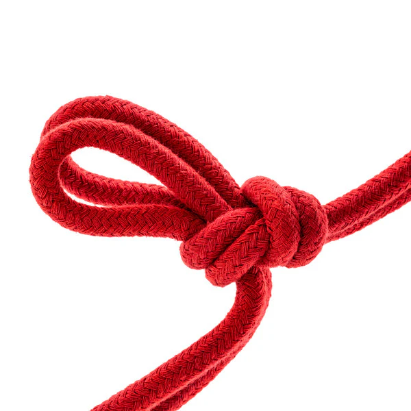 Blush Temptasia Bondage Rope - Image 4
