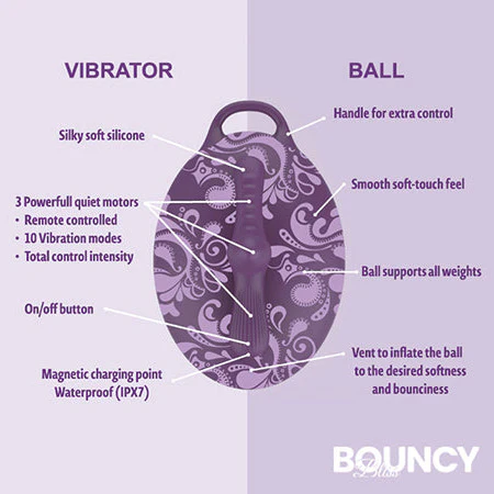 Bouncy Bliss Ride-On Vibrator - Image 4