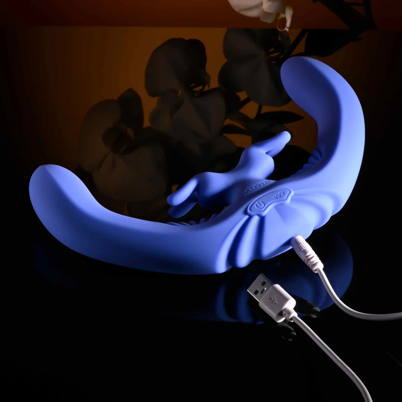Evolved Lovebirds - Image 3