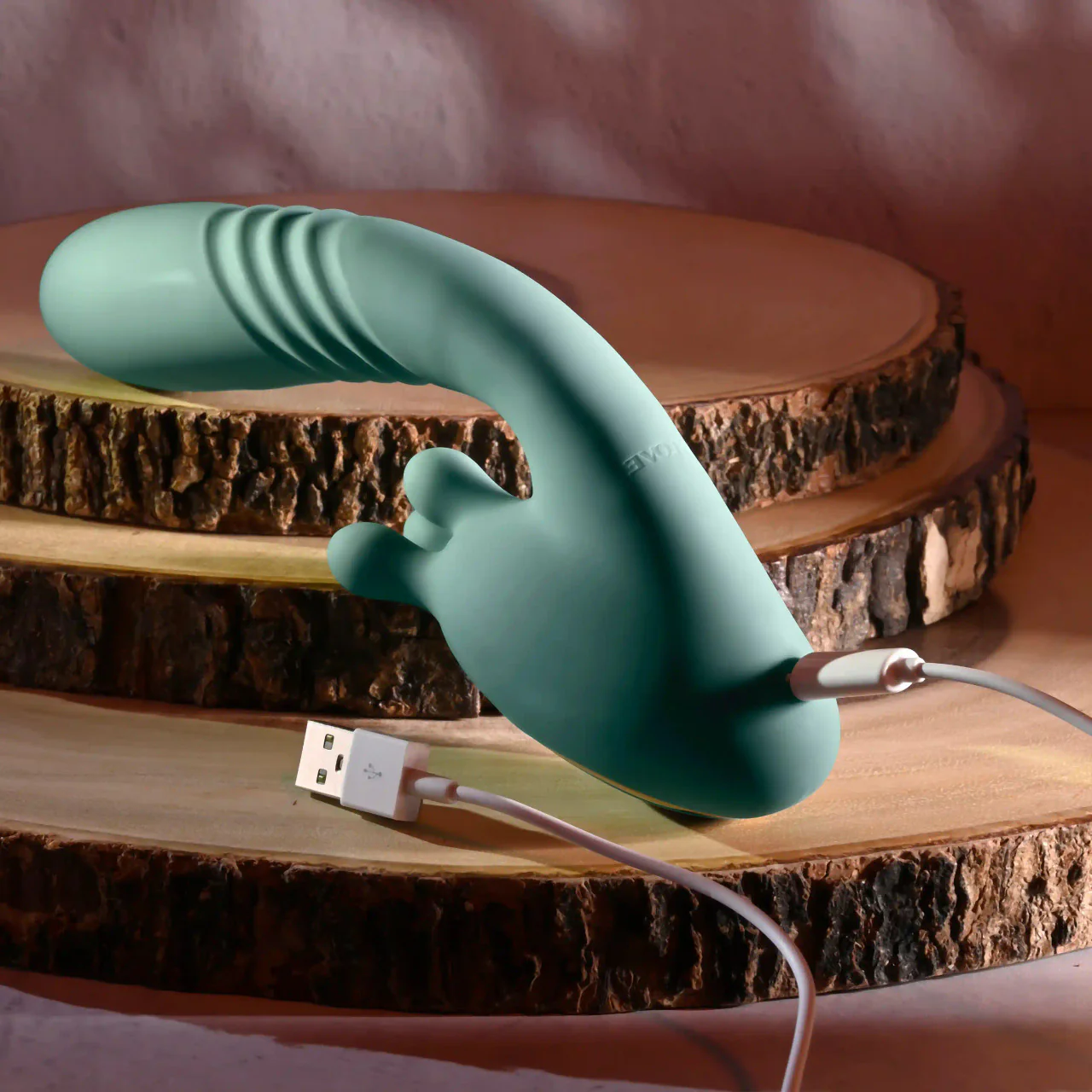 Evolved Thrust into Ecstasy - Image 5