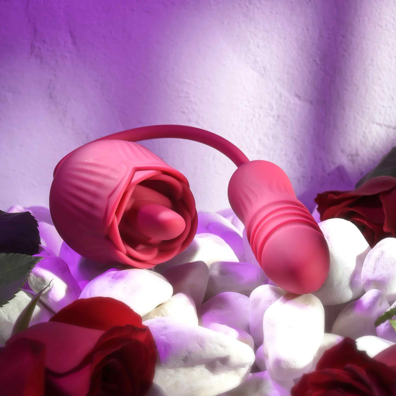Evolved Wild Rose - Image 2