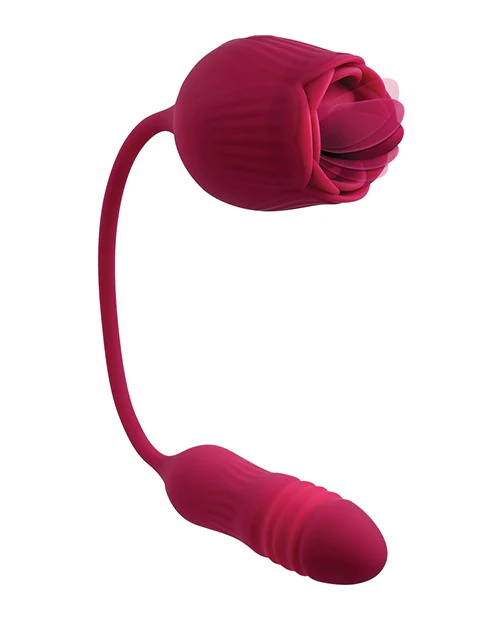 Evolved Wild Rose - Image 5