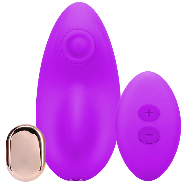 In A Bag Panty Remote Panty Vibe - Image 3