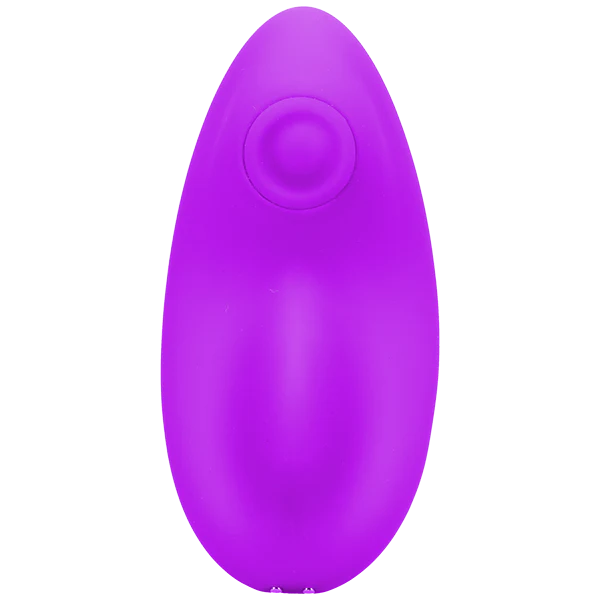 In A Bag Panty Remote Panty Vibe - Image 4