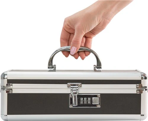 Lockable Vibrator Case - Image 2