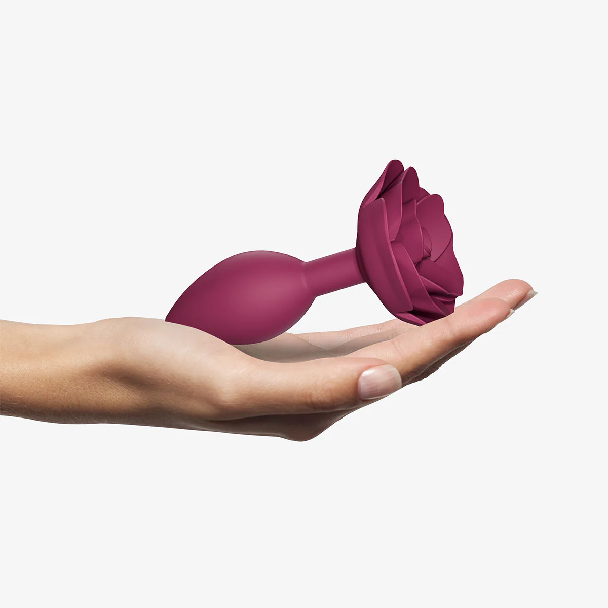 Open Roses - Image 13