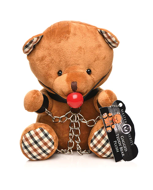 Master Series Gagged Teddy Bear - Image 5