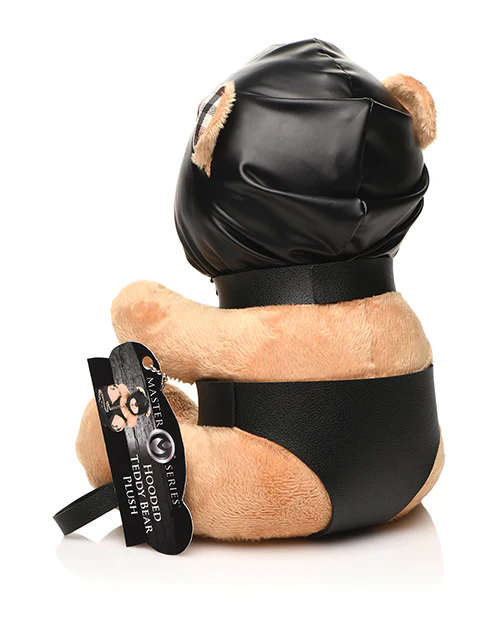 Master Series Hooded Teddy Bear - Image 2