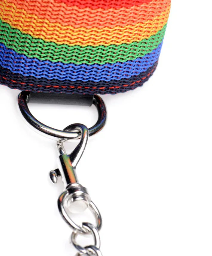 Master Series Kinky Pride Rainbow Bondage Set - Image 5