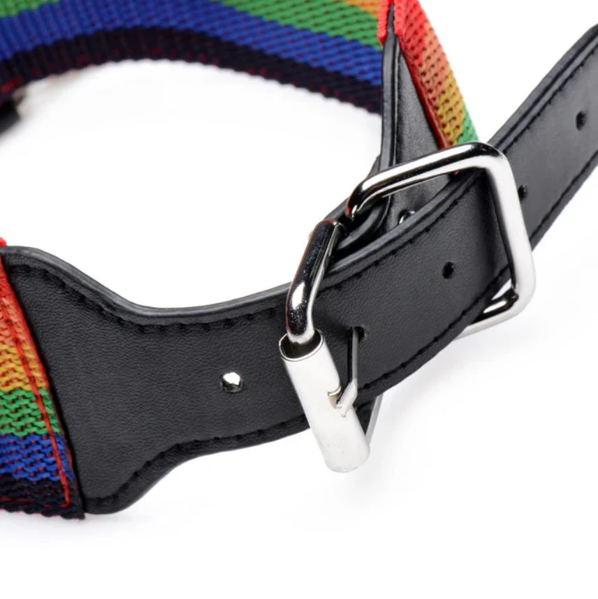 Master Series Kinky Pride Rainbow Bondage Set - Image 6