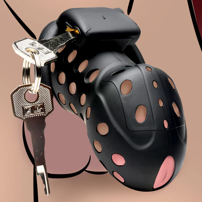 Master Series Lock Down - Image 2