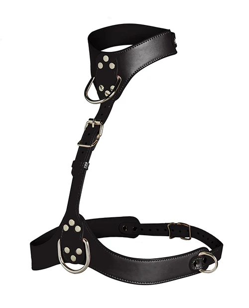 Master Series Vixen Chest Harness - Image 4