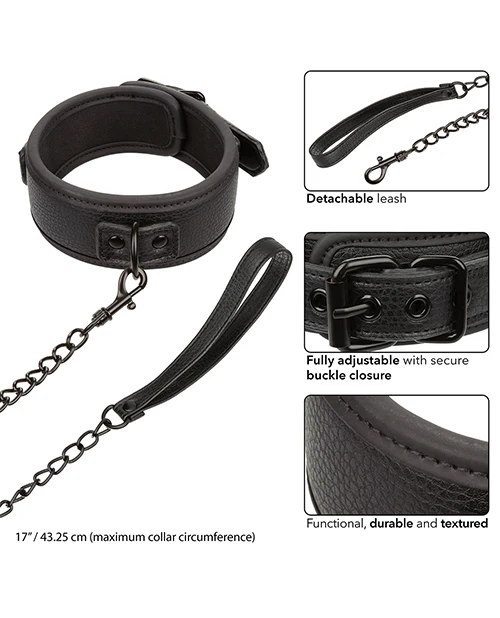 Nocturnal Collar & Leash - Image 3