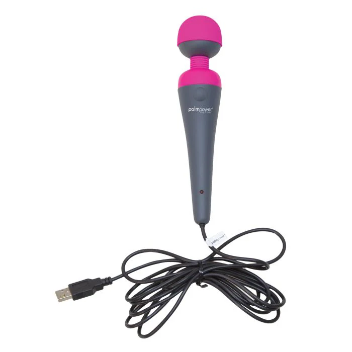 Palm Power Plug & Play - Image 3
