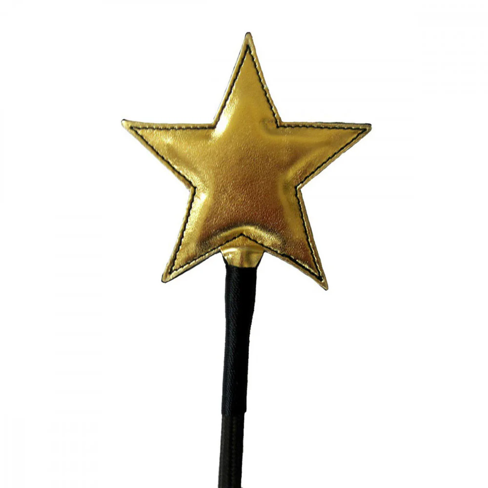 Ruff Doggie Styles Gold Star Crop - Image 3