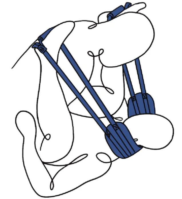 Sportsheets Pivot Deluxe Doggie Strap - Image 6