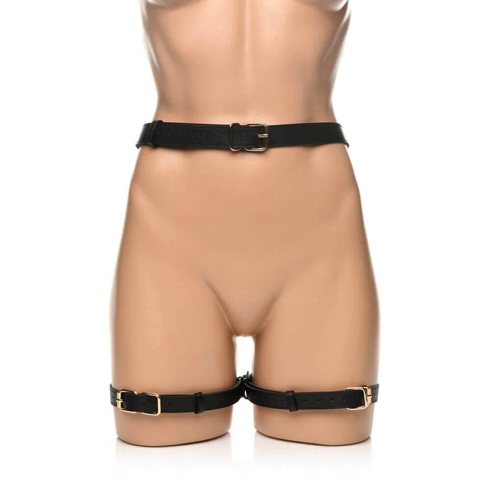 Strict Bondage Harness with Bows - Image 8