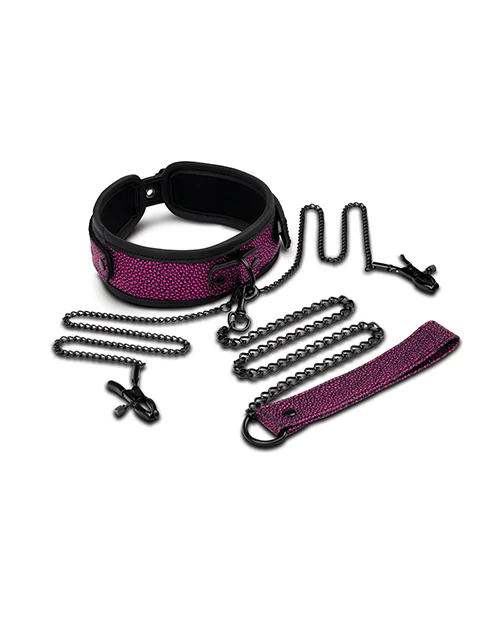 WhipSmart Dragon's Lair Nipple Clamp Collar