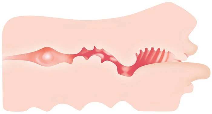 Zero Tolerance Real Mouth Stroker - Image 9