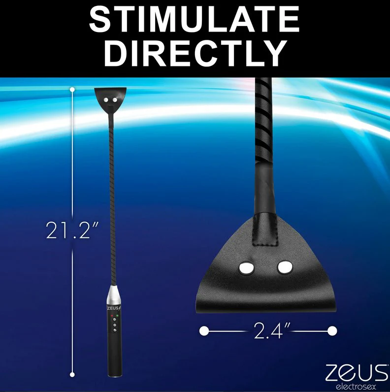 Zeus Electrosex Riding Crop - Image 8