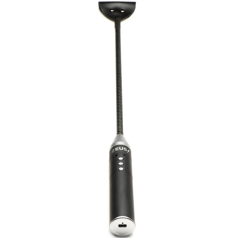Zeus Electrosex Riding Crop - Image 9